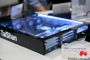 當正定遇上數博會